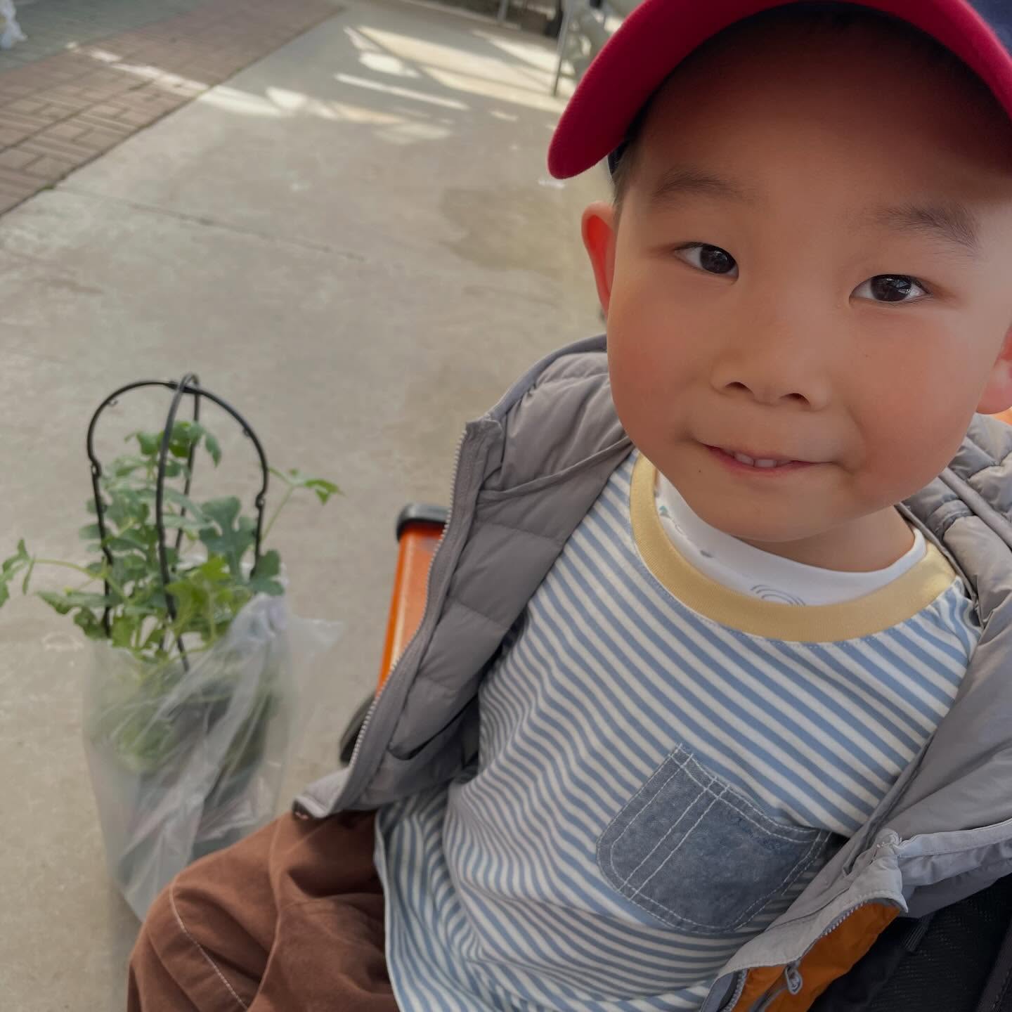 买上西瓜秧子了，高兴了