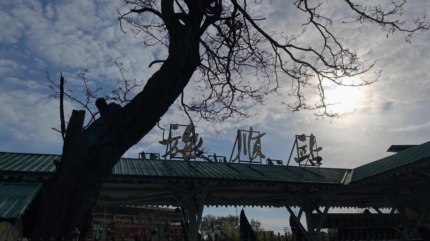 Instagram Image
