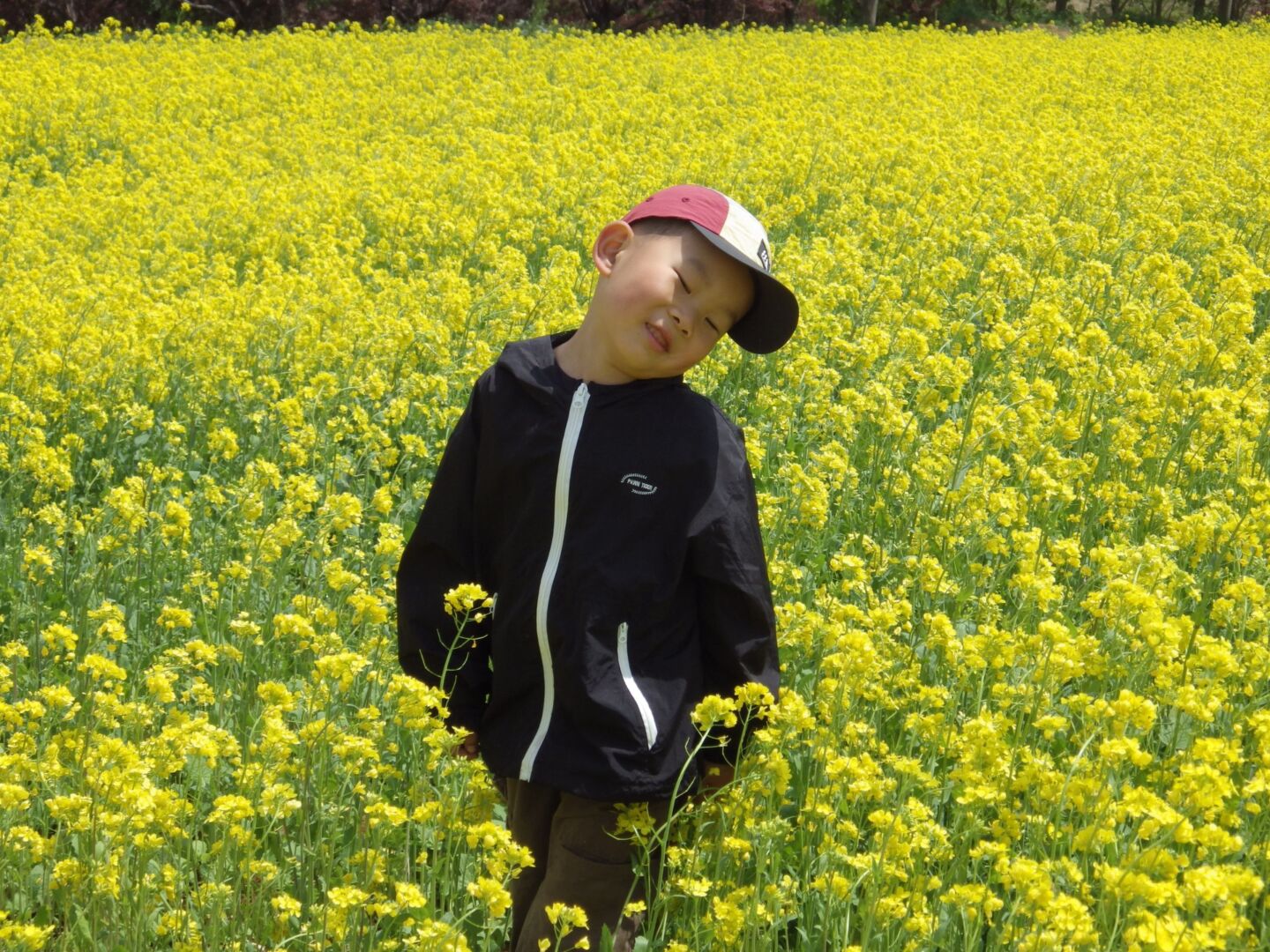 Instagram Image